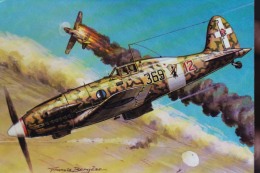 MACCHI C 202 FOLGORE - 1939-1945: 2ème Guerre