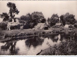 St-Joachim.. La Brière.. Les Martins - Saint-Joachim