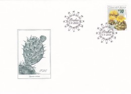 Cactus - Enveloppe - Carte - Document - Cactusses