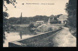 87 -- Bussiere - Poitevine -- Chateau De Busserolles - Bussiere Poitevine