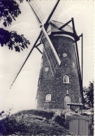 Oelegem Stenen Molen - Ranst