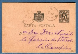 Roumanie - Entier Postal Voyagé En 1894  à Voir 2 Scans   Réf. 919 - Ganzsachen
