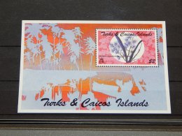 Turks And Caicos - 1995 Orchids Block (1) MNH__(TH-15261) - Turks And Caicos