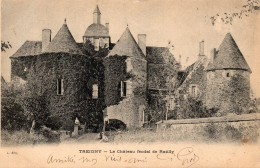 TREIGNY - Le Château Féodal De Ratilly - Treigny