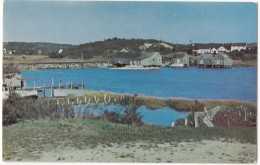 Cape Cod Oyster Houses And Fish Sheds, Unused Postcard [17545] - Cape Cod