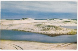 Cape Cod Scenic Dunes, Unused Postcard [17547] - Cape Cod