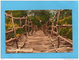 SIERRA LEONE-view Of Native Bridge-un Pont De Bois Et De Liane -années 1910-20 Edition Canning & Ashworth - Sierra Leona