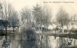 Bédarieux - Jandin Des Plantes - Bedarieux