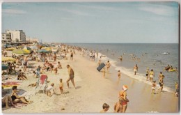 Looking North At Rehoboth Beach, Delaware, Unused Postcard [17553] - Autres & Non Classés