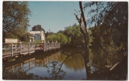 Children's Fishing Pier, Lake Gerar, Rehoboth Beach, Delaware, Unused Postcard [17558] - Autres & Non Classés