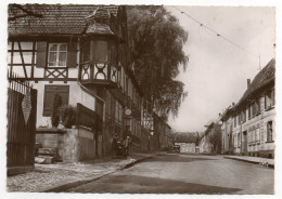 BISCHWILLER--1955--Rue Du Chateau(animée,voiture,Pub Renault),cpsm 15 X 10 Collec Bertrand-Beau Cachet - Bischwiller