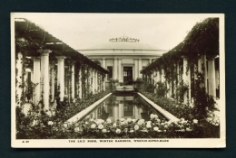 ENGLAND  -  Weston Super Mare  Winter Gardens  The Lily Pond  Used Vintage Postcard As Scans - Weston-Super-Mare