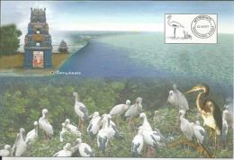 Flamingo Kodikkarai Bird Sanctuary Picture Postcard, With Permanent Pictorial Postmark Introduction Date,By India Post - Flamencos