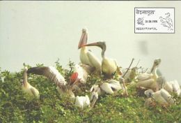 Pelican Vedanthangal Bird  Sanctuary Picture Postcard, With Permanent Pictorial Postmark Introduction Date,By India Post - Pélicans