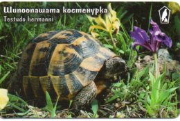 Tortue Tortoise Turtle Télécarte Bulgarie Phonecard  R698 - Bulgarien