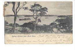 14565 - Sidney Harbour From North Shore - Sydney