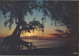 CPM La Réunion - Plage De La Saine - Coucher De Soleil - Reunion