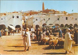 CPM Algérie - Ghardaia - La Place Du Marché - Ghardaia