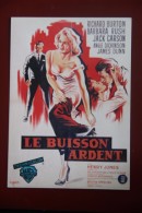 LE BUISSON ARDENT ( La Faute Est Bien ...sur L'affiche ) Avec RICHARD BURTON - Affiches Sur Carte