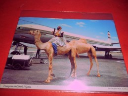 B655 Nigeria Trumpeter On Camel Viaggiata Pieghina Angolo - Nigeria