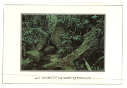 (680) Australia - QLD  - Wet Tropics - Far North Queensland