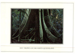 (680) Australia - QLD  - Wet Tropics - Far North Queensland