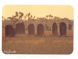 (355) Australia - NT - Anthills - Sin Clasificación