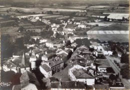 CASTELNAU RIVIERE BASSE - (65 - HAUTES PYRENNES), CPSM PEU COURANTE, ECRITE, VOYAGEE & TIMBREE DE 1961 - Castelnau Riviere Basse