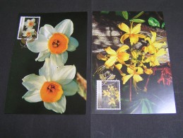 GREECE 2005 Greek Flora SET MAXIMA.; - Maximum Cards & Covers