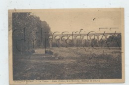 Lusignan (86) :Le Viaduc Pont Du Chemin De Fer Ligne Poitiers-La Rochelle Pris De Terrain D´élevage En 1935 (animé)  PF. - Lusignan