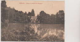 (4268D) Wellin Etang Et Chateau Du Neupont - Wellin