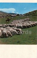 Jailoo - Sheep - Horse - Shepherd - 1974 - Kyrgyzstan USSR - Unused - Kirgisistan