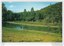 PETIGNY ..-- COUVIN ..-- Etang De Pêche Du Vivier . - Couvin