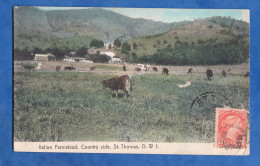 CPA - SAINT THOMAS , Virgin Islands - Italian Farmstead - TOP RARE - West Indies - Virgin Islands, US