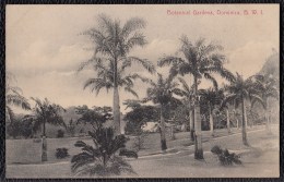 SUPERB OLD CARD * BOTANICAL GARDENS * DOMINICA - Rare !!!! - Dominica