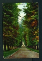 ENGLAND  -  Shrewsbury  Quarry Avenue  Used Vintage Postcard As Scans - Shropshire