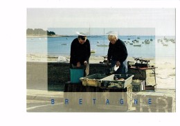 56 - Port De LOMENER En PLOEMEUR - Vente De Poisson Sur La Cote Lorientaise - Femme Balance Pesée Poids - - Ploemeur