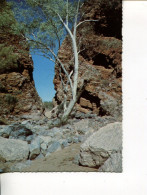 (679) Australia - Alice Springs Simpson's Ga - Alice Springs