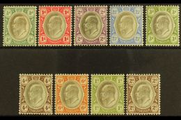 TRANSVAAL 1902 (CA) KEVII Set To 2s, SG 244/52, Fine Mint. (9) For More Images, Please Visit... - Non Classificati