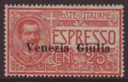 VENEZIA GIULIA 1919 25c Express, Sass 1, VFM For More Images, Please Visit... - Non Classificati