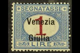 V. GIULIA 1918 1lire Postage Due, Sass 7, VfM. Cat €500 (£380) For More Images, Please Visit... - Non Classificati