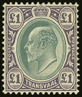 TRANSVAAL 1904 £1 Green And Violet, ED VII, SG 272, Superb Mint. For More Images, Please Visit... - Non Classificati
