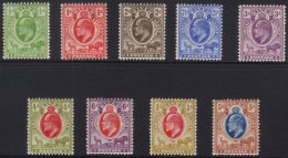 ORANGE RIVER COLONY 1903-04 Complete Set SG 139/47, Fine Mint. (9) For More Images, Please Visit... - Non Classificati