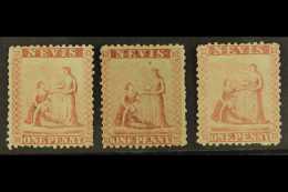 1862 1d Dull Lake Greyish Paper, SG 5, Three Unused No Gum Examples, Fresh Colours. (3 Stamps) For More Images,... - St.Cristopher-Nevis & Anguilla (...-1980)