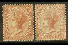 1872-79 3d Both Shades, Wmk CC, Perf 12½, SG 7/8, Unused, Lovely Fresh Colours. (2 Stamps) For More Images,... - Honduras Britannico (...-1970)