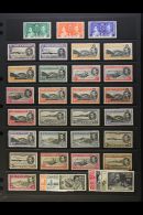 1937-49 MINT COLLECTION On A Stock Page. Includes Coronation Set, Pictorial Set Of All Values Plus Many... - Ascensione