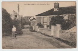 JOUY EN JOSAS (78) - PETIT CHEMIN DES METZ - Jouy En Josas