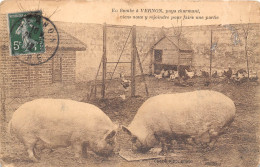 27- VERNON - EN BOMBE A VERNON , PAYS CHAMANT VIENS NOUS Y REJOINDRE POUR FAIRE UNE PARTIE  COCHONS - Vernon