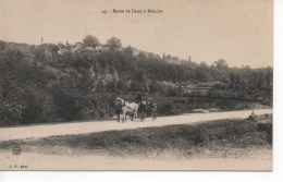 BIDACHE  -  Route De Came à Bidache - Bidache
