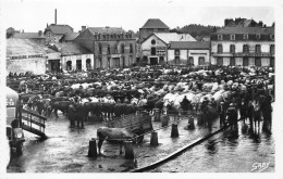 49- CHOLET -  LES MARCHE AUX BOEUFS - Cholet